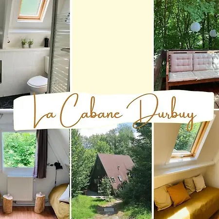Domek alpejski La Cabane,