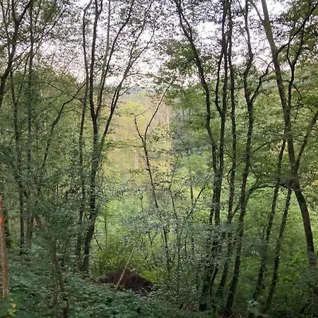 La Cabane,