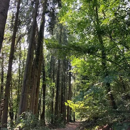 シャレー La Cabane, *