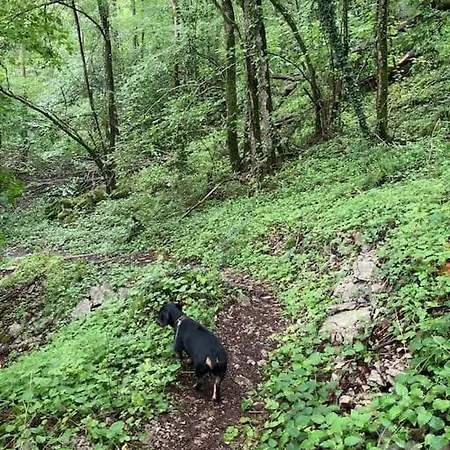 La Cabane, Chalet Durbuy