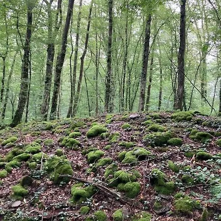 La Cabane, Horská chata *