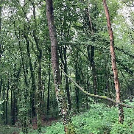 Horská chata La Cabane, *