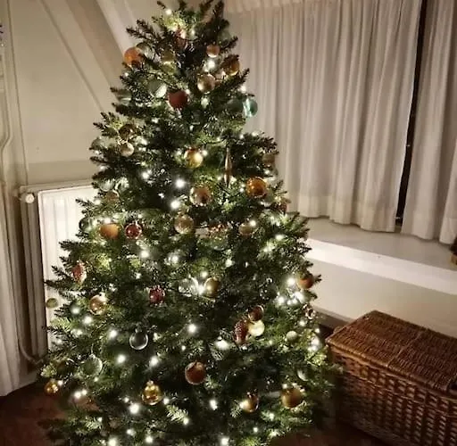 Alpstuga La Cabane, Durbuy