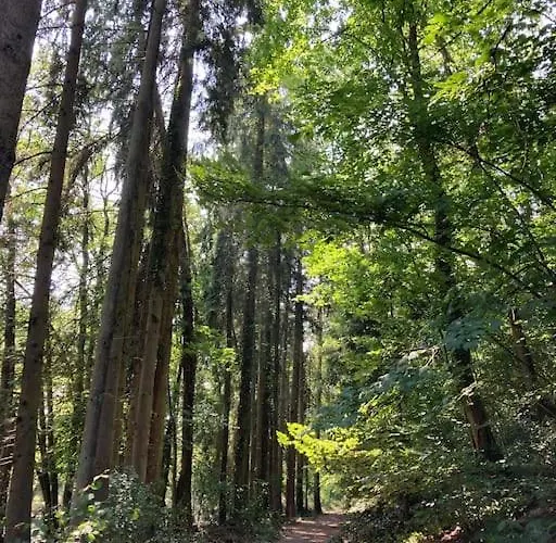 Alpstuga La Cabane, *