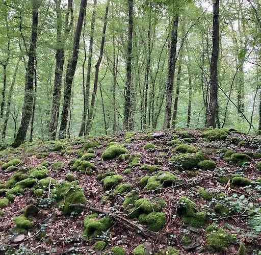 La Cabane, Alpstuga *
